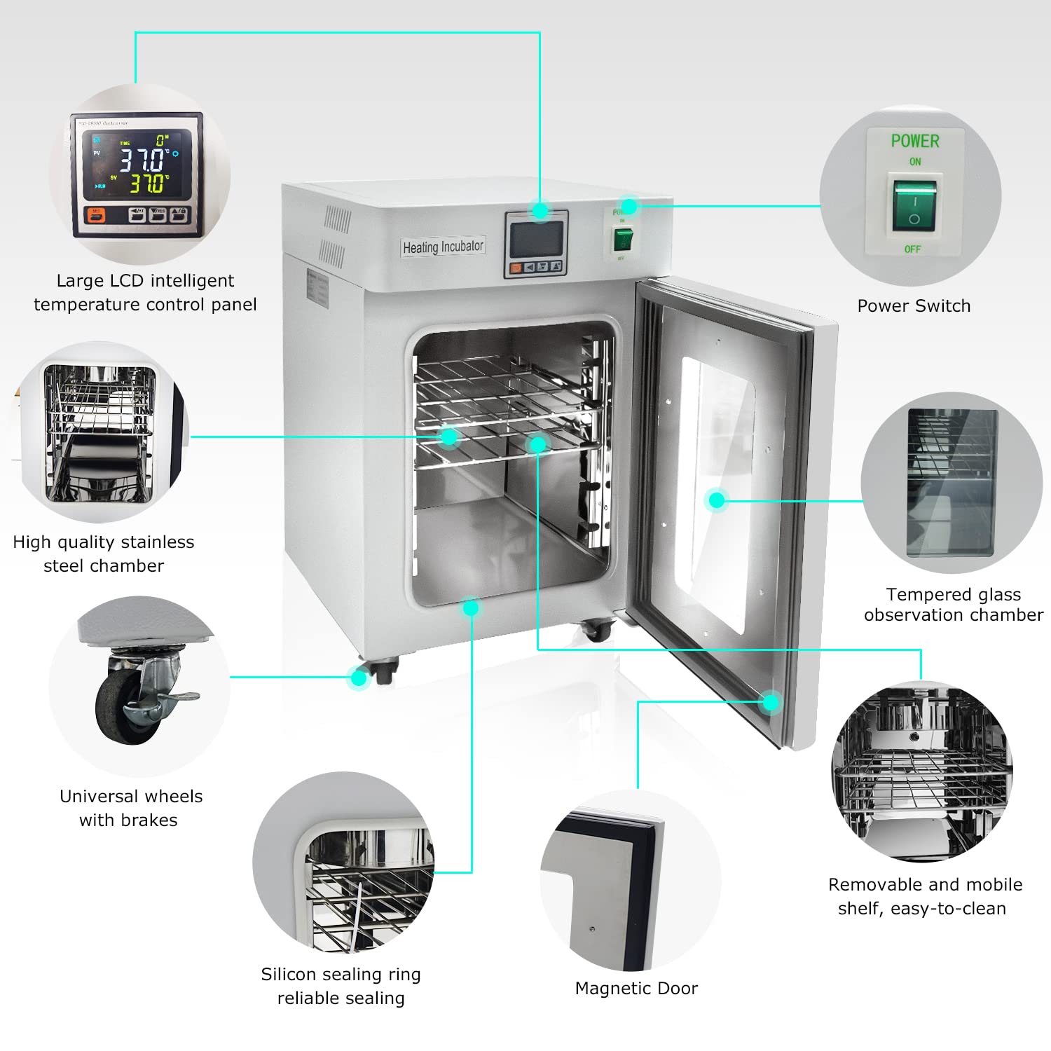 Tıbbi Laboratuvar Sınıfı 20L v - Medical Lab Microbiology incelemesi ve fiyatı